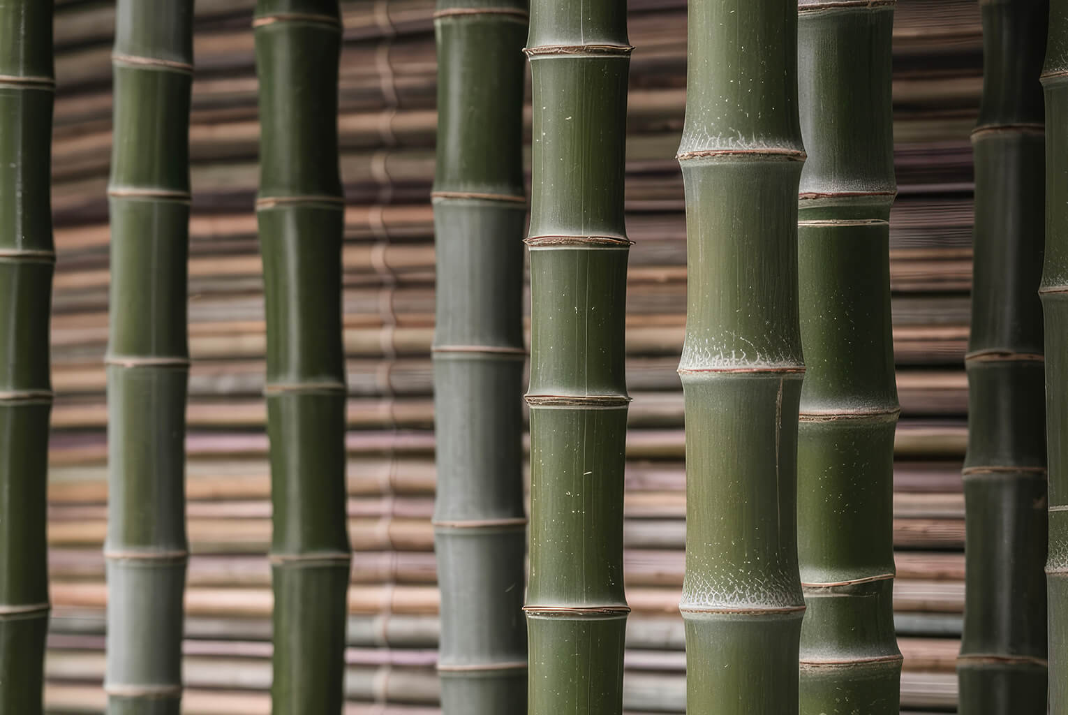 green bambus